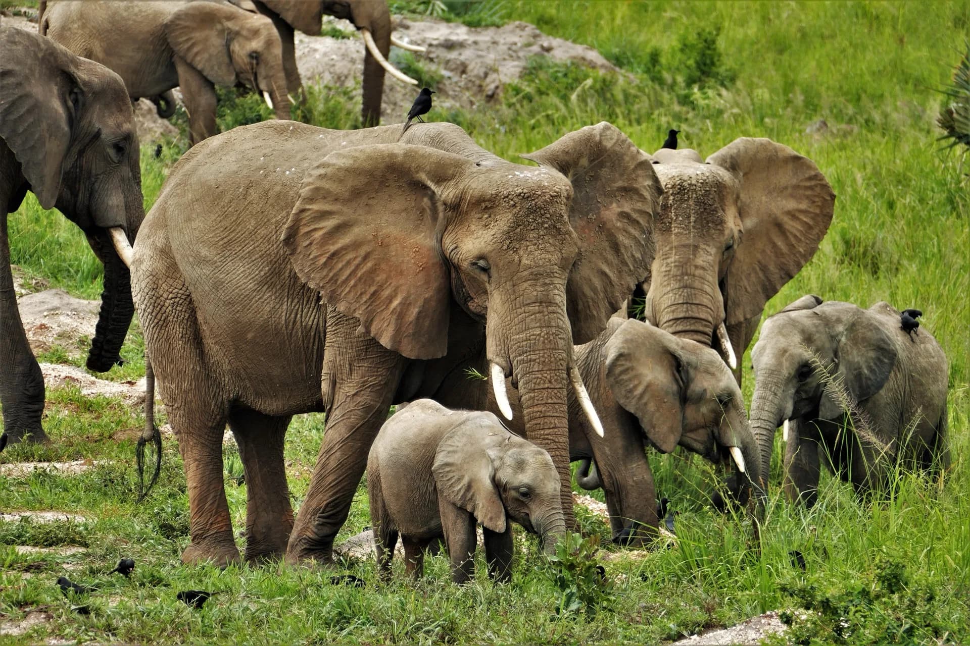 Uganda photography