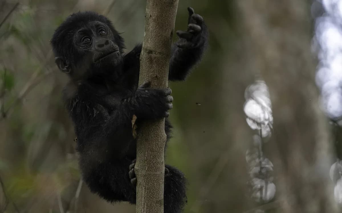 Uganda photography
