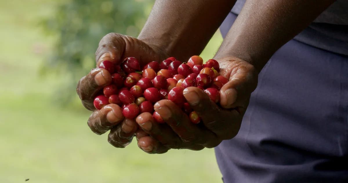 Uganda photography