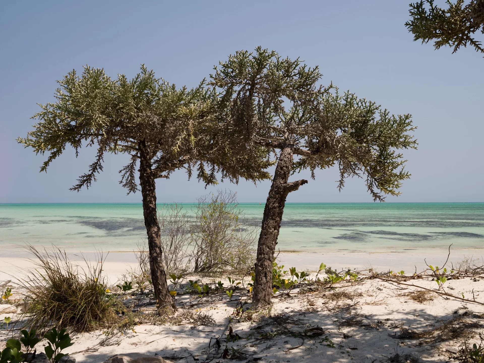 Madagascar photography