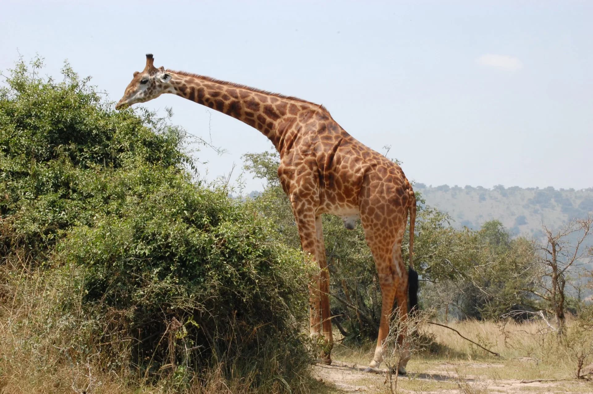 Rwanda photography